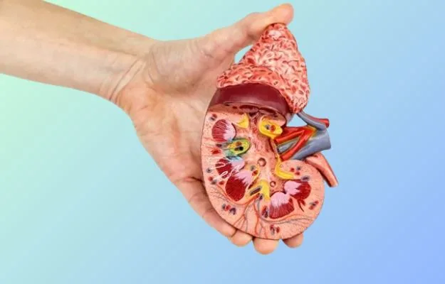 Chronic kidney disease (CKD) treatment in Hyderabad by Dr. Ramesh Vasa